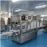 Pneumatic Piston Filling Machine